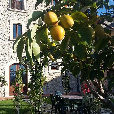 Alloggi Agrituristici Antica Dimora Villa San Demetrio ne' Vestini Ngoại thất bức ảnh