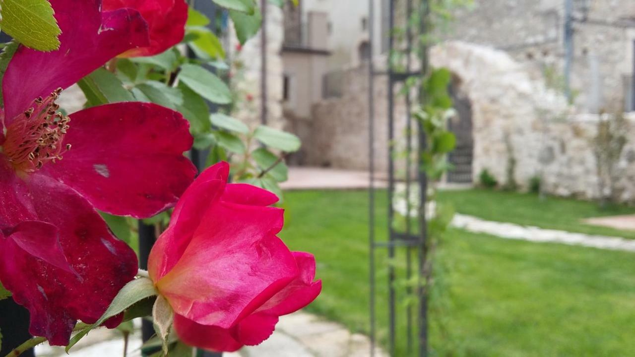 Alloggi Agrituristici Antica Dimora Villa San Demetrio ne' Vestini Ngoại thất bức ảnh